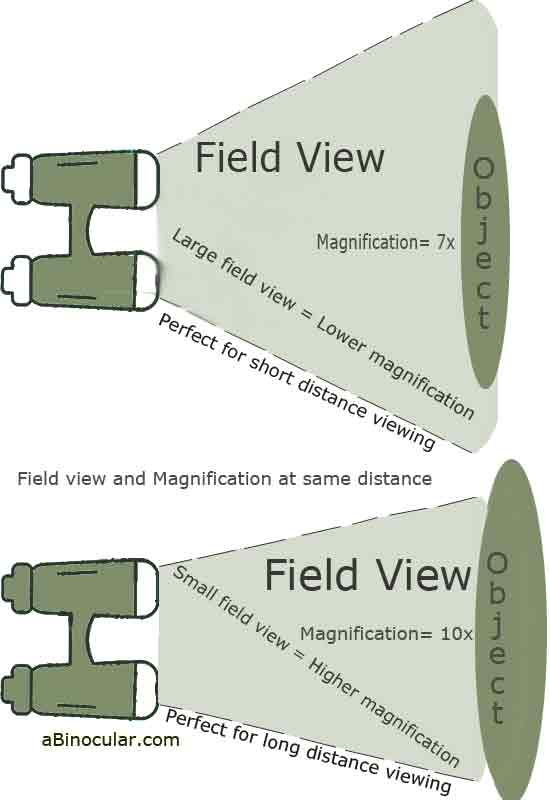 How to choose binoculars? The buying guide Binocular, birding and